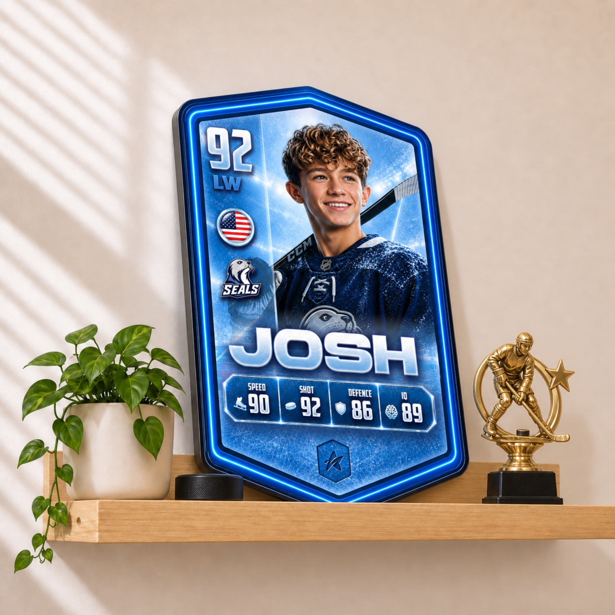 Personalised Ice Hockey Plaque